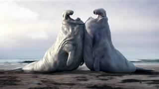 Два Ленивых Морских Слона | Смешной Короткометражный Мультик