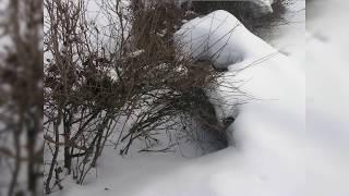 Релакс природа музыка для души и жизни 47