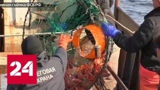 Приморские пограничники задержали японских браконьеров - Россия 24