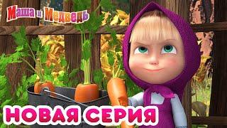 Маша  и Медведь - 