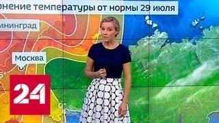 "Погода 24": в европейской России в выходные ожидается тридцатиградусная жара  - Россия 24