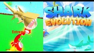 Новая игра, акула в роблокс. Shark Evolution Roblox. Хороший симулятор, эволюция акулы.