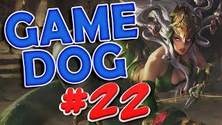 BEST GAME DOG #22 | Игровые БАЯНЫ / Подборка "Баги, Приколы, Фейлы" из игр / Gaming Coub