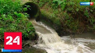 Серая пена и невыносимый запах: реку в Подольске превратили в канализационный сток - Россия 24