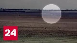 Падение истребителя Hawker Hunter на Гавайях сняли на видео - Россия 24