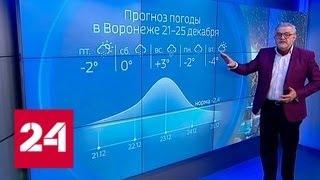"Погода 24": в Европейскую Россию идут снегопады и потепление - Россия 24