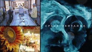 Продукты бывшего СССР - Среда обитания | Документальный фильм