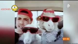 САМОЕ БОДРОЕ УТРО! - 03.08.2020 ~ Smiling Time ~ микс ПРИКОЛОВ