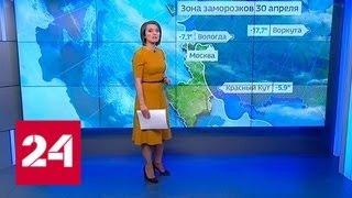 "Погода 24": в праздники на юге России пройдут сильные дожди и грозы - Россия 24