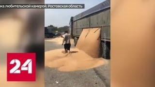 Ростовский водитель посыпал трассу пшеницей назло инспекторам ДПС - Россия 24