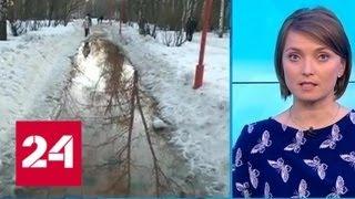 "Погода 24": похолодание в Центральной России будет кратковременным - Россия 24