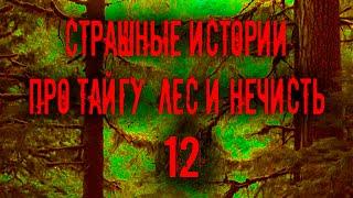 Страшные истории про тайгу, лес  и нечисть. 12 Мистика Zvook. Олег Ли