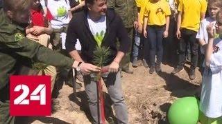 Шестой "Лес Победы": в Подмосковье посадили деревья в память о погибших - Россия 24