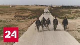 Турция "позаботится" о боевиках в Идлибе - Россия 24