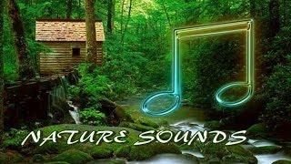 Фоновая инструментальная музыка и звуки природы для поднятия настроения