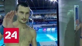 Российские пловцы завоевали рекордное количество наград чемпионата Европы - Россия 24