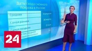 "Погода 24": в Москву идет настоящая весна - Россия 24