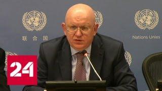 Резолюция СБ ООН о защите палестинцев заблокирована Соединенными Штатами - Россия 24
