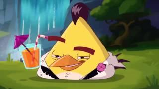 Angry Birds Cartoon Series Season 2 | angry birds toon