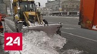 Аномальное тепло после аномального снегопада: в столице пройдут ледяные дожди - Россия 24
