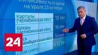 "Погода 24": юг Сибири и Зауралье накроют сильнейшие снегопады - Россия 24