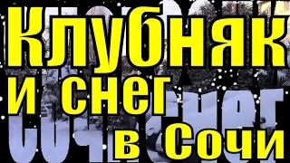 Клубняк музыка / Снежный Сочи / В Сочи снегопад