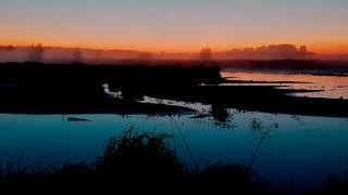 Звуки природы, рассвет на озере, пение птиц, музыка для сна