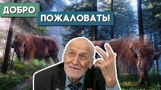 Николай Дроздов о том, как выжить