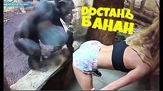 ПРИКОЛЫ 2018 