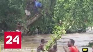 Потоп в Нигерии: вода смывала дома, люди спасались на деревьях