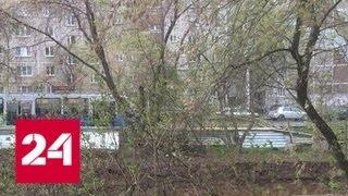Ураган в Екатеринбурге: на машины валятся деревья и шифер - Россия 24