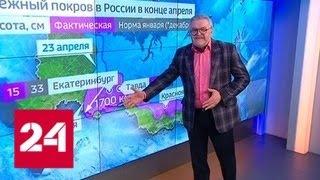 В Россию идет летняя жара - Россия 24
