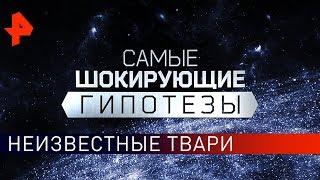 Неизвестные твари. Самые шокирующие гипотезы (22.11.2019).