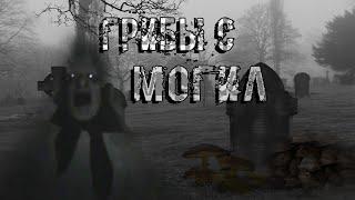 СТРАШНЫЕ ИСТОРИИ ПРО КЛАДБИЩЕ - ГРИБЫ С МОГИЛ! СТАРАЯ ВЕДЬМА!