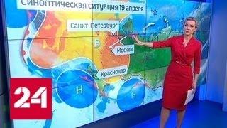 "Погода 24": В европейской части России становится все теплее - Россия 24