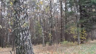 Релакс природа музыка для души и жизни 16