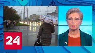 "Погода 24": в Россию из Европы идут тепло и дожди - Россия 24