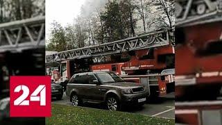 Крупный пожар произошел в московском парке "Фили" - Россия 24