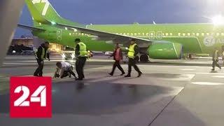 В Домодедове пассажир устроил драку на борту самолета - Россия 24