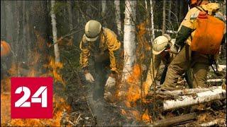 Генпрокуратура выявила факты намеренных поджогов леса в Сибири - Россия 24