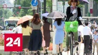 В Японии из-за жары за неделю погибли не менее 65 человек - Россия 24