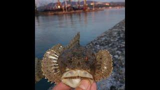 Rockfishing in Tuapse.  The far pier.  Рокфишинг в Туапсе.  13. 04. 17.