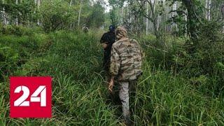 Пенсионерка сутки простояла в трясине, рыком отпугивая медведя - Россия 24