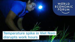 Blazing hot temperatures in Viet Nam are making people work at night
