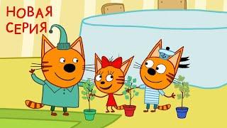 Три кота | Деревья | Новая Серия 123 | Мультфильмы для детей