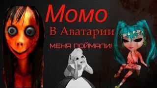 Аватаврия   Момо пришла за мной!!