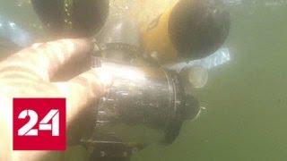 Во Владивостоке стартовали Всероссийские соревнования подводных роботов - Россия 24