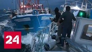Гребешки раздора: английские и французские рыбаки ведут настоящую морскую войну - Россия 24