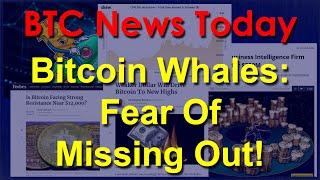 BTC News Today 2020: Bitcoin Whales: Fear Of Missing Out!
