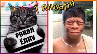 Я РЖАЛ ДО СЛЕЗ 
